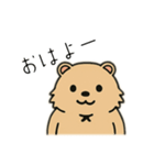 ウォンバットゥン（個別スタンプ：17）