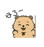 ウォンバットゥン（個別スタンプ：18）