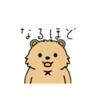 ウォンバットゥン（個別スタンプ：19）