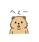 ウォンバットゥン（個別スタンプ：20）