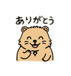 ウォンバットゥン（個別スタンプ：25）