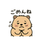 ウォンバットゥン（個別スタンプ：26）