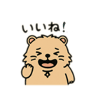 ウォンバットゥン（個別スタンプ：28）
