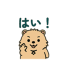 ウォンバットゥン（個別スタンプ：34）