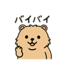 ウォンバットゥン（個別スタンプ：36）