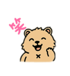 ウォンバットゥン（個別スタンプ：38）