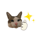 くまけみこまの日常会話（個別スタンプ：32）