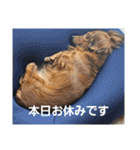 もみすずの会話（個別スタンプ：4）