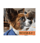 もみすずの会話（個別スタンプ：6）