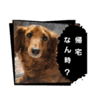 もみすずの会話（個別スタンプ：7）