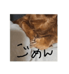 もみすずの会話（個別スタンプ：10）