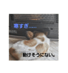 もみすずの会話（個別スタンプ：12）