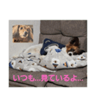 もみすずの会話（個別スタンプ：14）