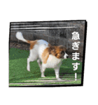もみすずの会話（個別スタンプ：17）