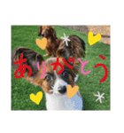 もみすずの会話（個別スタンプ：19）