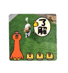 もみすずの会話（個別スタンプ：20）
