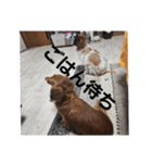 もみすずの会話（個別スタンプ：21）