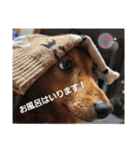 もみすずの会話（個別スタンプ：24）