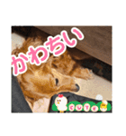 もみすずの会話（個別スタンプ：25）
