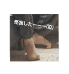 もみすずの会話（個別スタンプ：26）