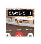もみすずの会話（個別スタンプ：27）