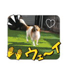 もみすずの会話（個別スタンプ：29）