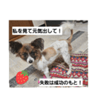 もみすずの会話（個別スタンプ：30）