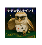 ふくろうポーカープレイヤー：エッホエッホ（個別スタンプ：8）