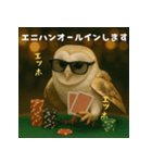 ふくろうポーカープレイヤー：エッホエッホ（個別スタンプ：13）