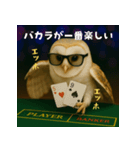ふくろうポーカープレイヤー：エッホエッホ（個別スタンプ：15）