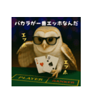 ふくろうポーカープレイヤー：エッホエッホ（個別スタンプ：25）