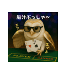 ふくろうポーカープレイヤー：エッホエッホ（個別スタンプ：31）