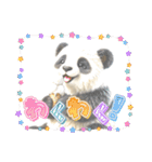 リアルかわいい日常パンダ2☆（個別スタンプ：23）