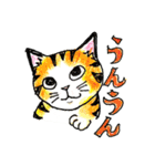 nekotenにゃんこの猫ねこパート3（個別スタンプ：3）