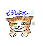 nekotenにゃんこの猫ねこパート3（個別スタンプ：21）