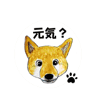 nekotenにゃんこの猫ねこパート3（個別スタンプ：23）