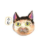 nekotenにゃんこの猫ねこパート3（個別スタンプ：24）
