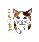 nekotenにゃんこの猫ねこパート3（個別スタンプ：25）