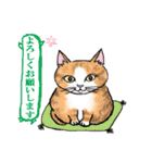 nekotenにゃんこの猫ねこパート3（個別スタンプ：27）