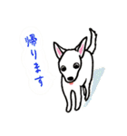 nekotenにゃんこの猫ねこパート3（個別スタンプ：29）