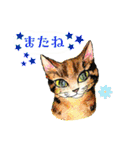 nekotenにゃんこの猫ねこパート3（個別スタンプ：30）