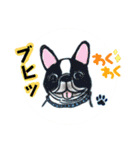 nekotenにゃんこの猫ねこパート3（個別スタンプ：31）