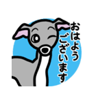 【ブルー3】1年中使えるイタグレのスタンプ（個別スタンプ：1）