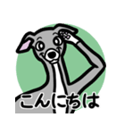 【ブルー3】1年中使えるイタグレのスタンプ（個別スタンプ：2）