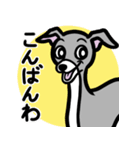 【ブルー3】1年中使えるイタグレのスタンプ（個別スタンプ：3）