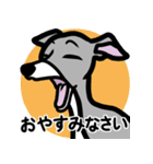 【ブルー3】1年中使えるイタグレのスタンプ（個別スタンプ：4）
