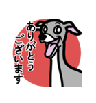 【ブルー3】1年中使えるイタグレのスタンプ（個別スタンプ：5）