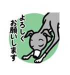 【ブルー3】1年中使えるイタグレのスタンプ（個別スタンプ：9）