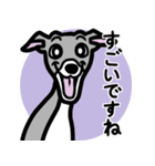 【ブルー3】1年中使えるイタグレのスタンプ（個別スタンプ：14）