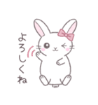 毎日使えるシンプル挨拶☆リボンうさぎ（個別スタンプ：6）
